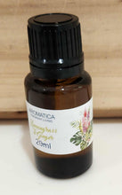 Load image into Gallery viewer, HOME FRAGRANCE OILS