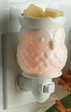Load image into Gallery viewer, Melter &#39;White Owl&#39;
