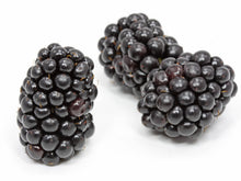 Load image into Gallery viewer, Melt Black Raspberry 80g